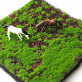 Moss For Fairy Garden
